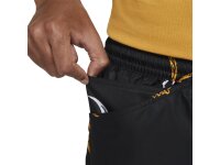 Nike SB Novelty Water Short