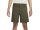 Nike SB Novelty Short