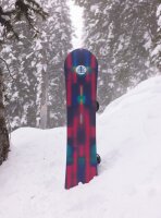 Burton Alekesam Family Tree Snowboard