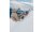 Burton Futuretrust 2L Latzhose (unisex)  in Summit Taupe L