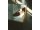 Hours Is Yours Callio S77 Schuhe - tobacco US 7 / EU 39.5