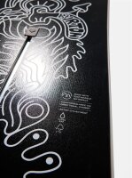 Burton Counterbalance Camber Hallucinate Snowboard