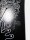 Burton Counterbalance Camber Hallucinate Snowboard