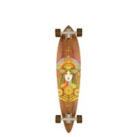 Arbor Performance Complete Solstice B4BC Fish 37 IN Longboard