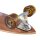 Arbor Performance Complete Solstice B4BC Fish 37 IN Longboard