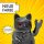 Angry Cat Winkekatze 15cm Metallic Rock Schwarz