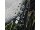 Jones Youth Flagship Snowboard Unisex Schwarz