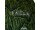 Jones Youth Flagship Snowboard Unisex Schwarz