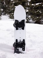 Burton Family Tree 3D Channel Surfer Flat Top Snowboard