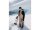 Burton Reserve 2L Relaxed Hose für Damen in Summit Taupe / True Black