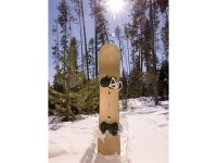 Burton Family Tree 3D Daily Driver Snowboard
