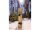 Burton Family Tree 3D Daily Driver Snowboard