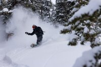 Jones Mind Expander Twin 158 Snowboard 2. Wahl