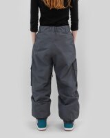 Beyond Park Cargo Pants 2L in Grey