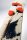 Capita Birds of a Feather Snowboard für Damen
