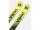 Völkl Racetiger SC Yellow Ski inkl. VMotion 12 Bindung