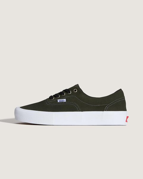 Vans Skate Era Schuhe in Obsidian Fern