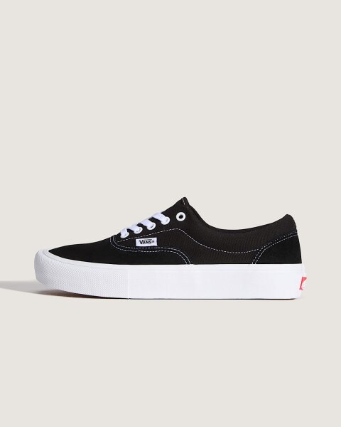 Vans Skate Era Schuhe in Black/White