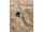 Burton Reserve Midweight Synthetic Steppjacke für Herren in Summit Taupe
