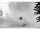 Jones Ultralight Project X 161W Snowboard für Herren Weiss