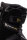 Nitro Team Pro MK TLS Snowboard-Boots für Herren Schwarz